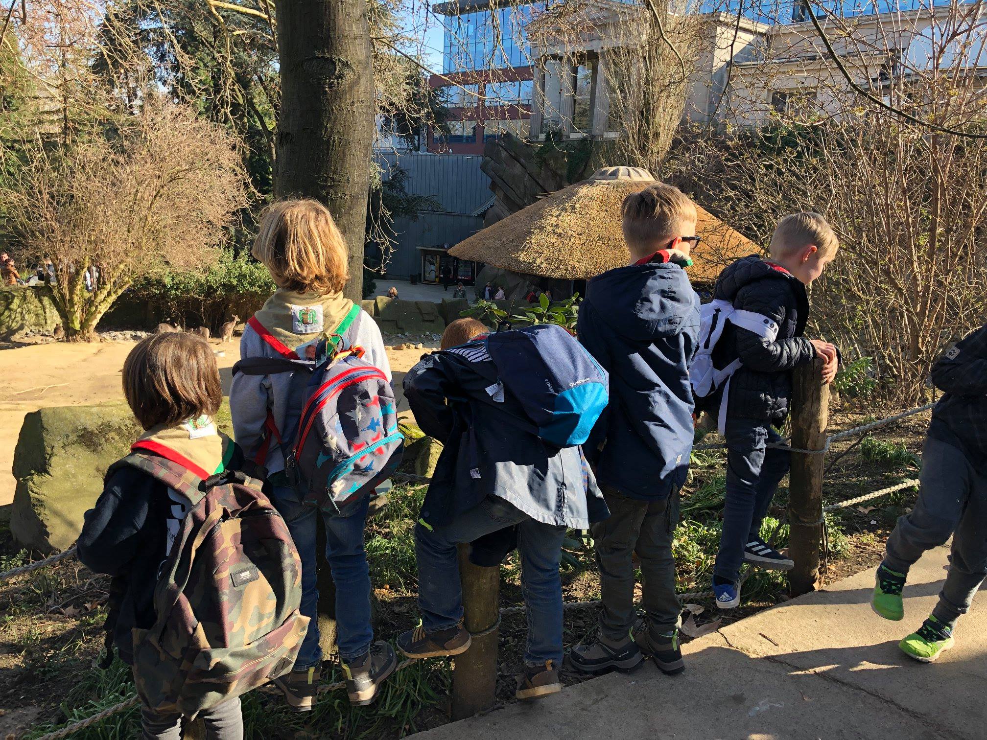 Sint-Martinus den XIIde - Zoo Antwerpen Kapoenen