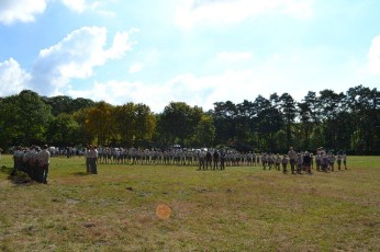 Sint-Martinus den XIIde - Opening