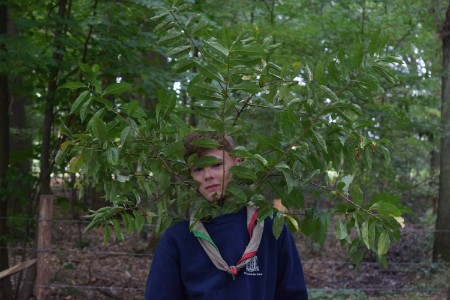 Sint-Martinus den XIIde - Opening