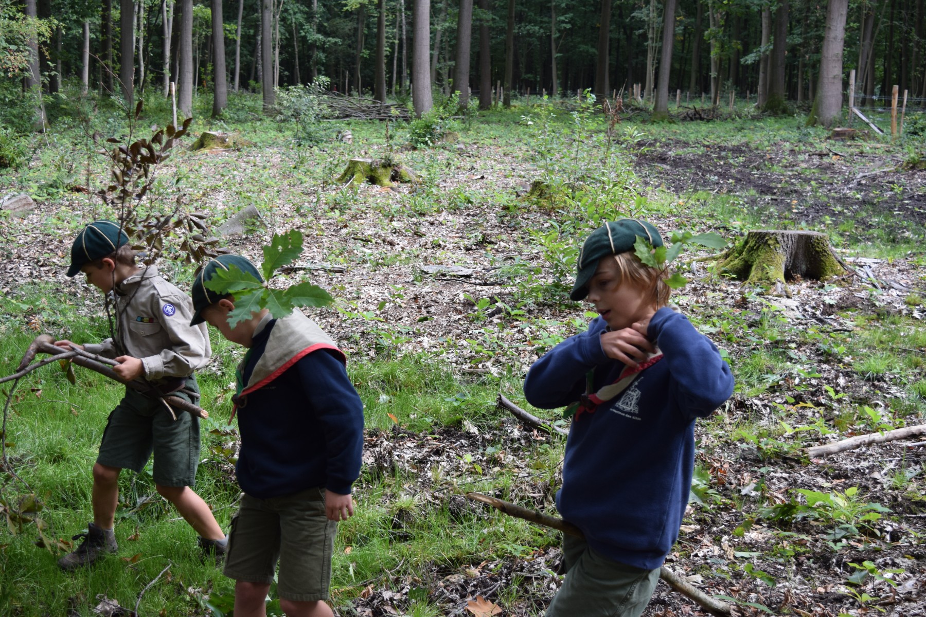 Sint-Martinus den XIIde - Opening