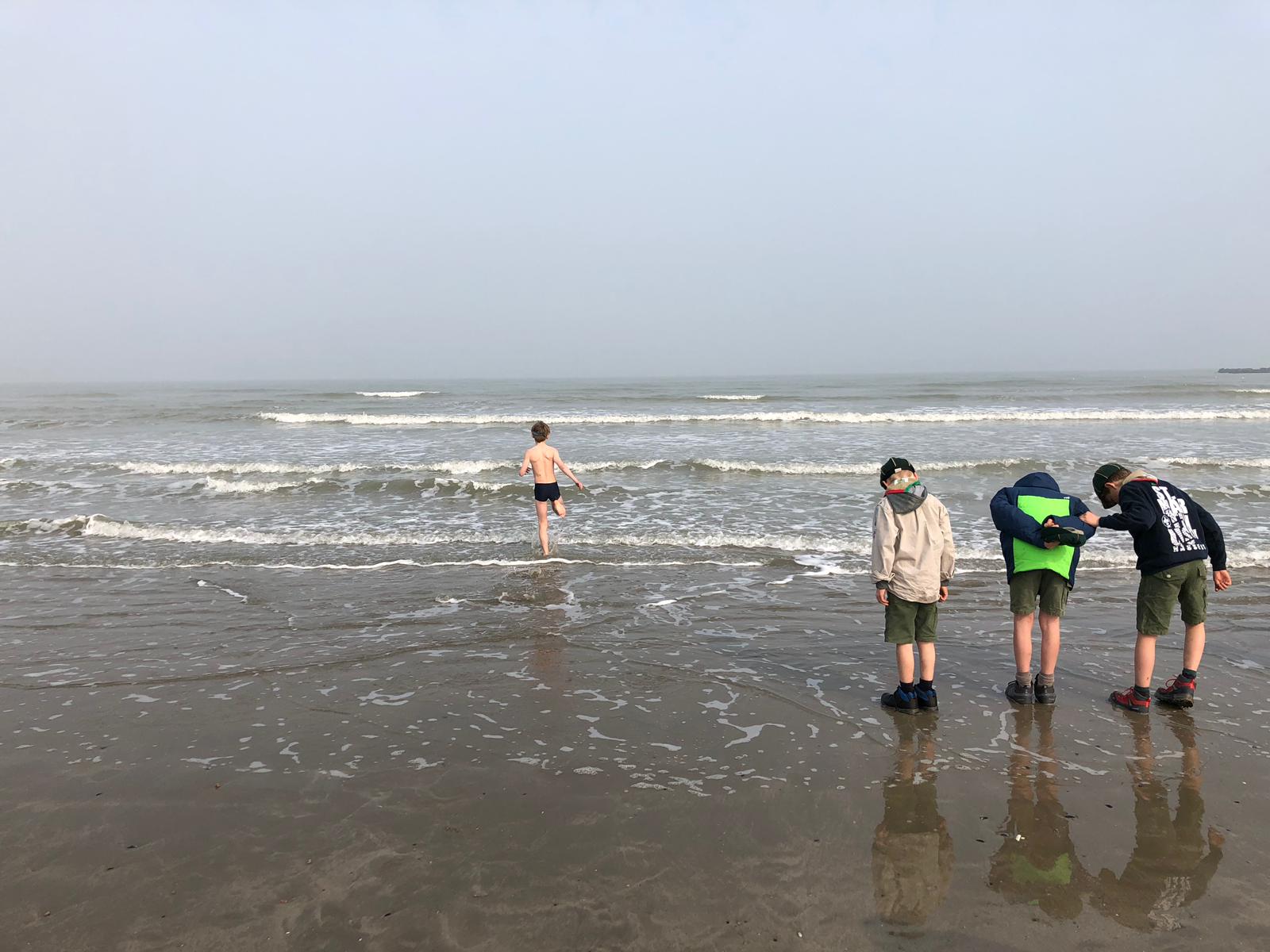 Sint-Martinus den XIIde - Paaswelpenweekend