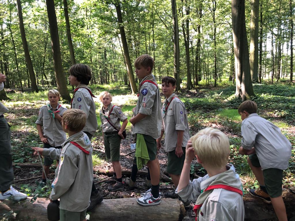 Sint-Martinus den XIIde - September