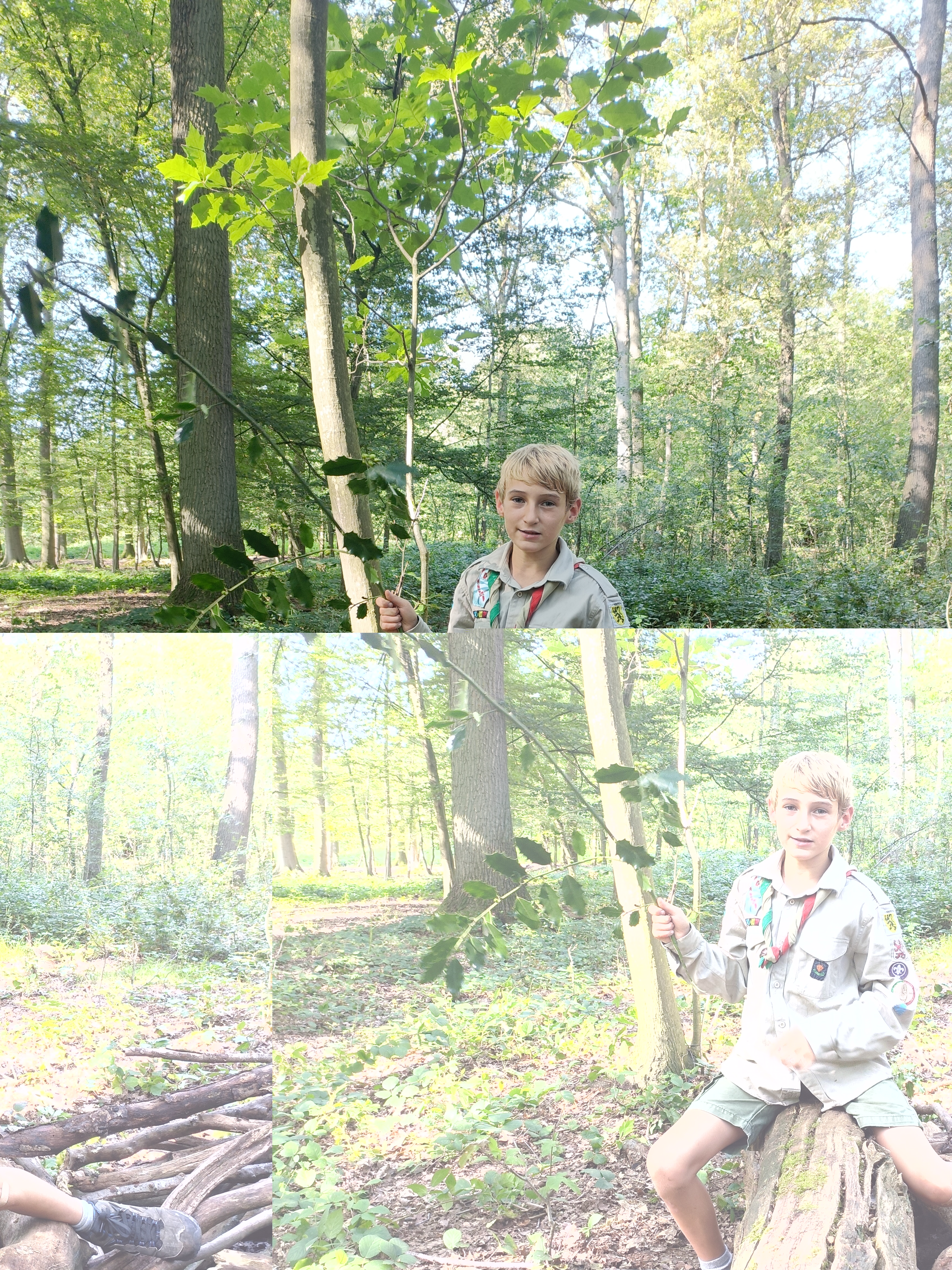 Sint-Martinus den XIIde - September