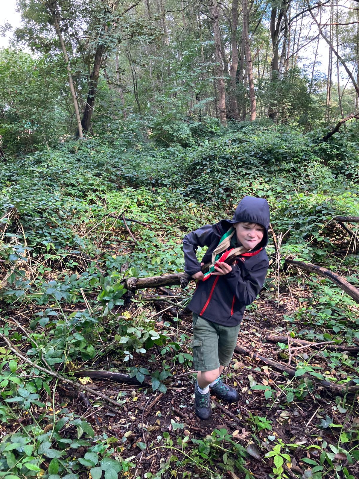 Sint-Martinus den XIIde - september-oktober