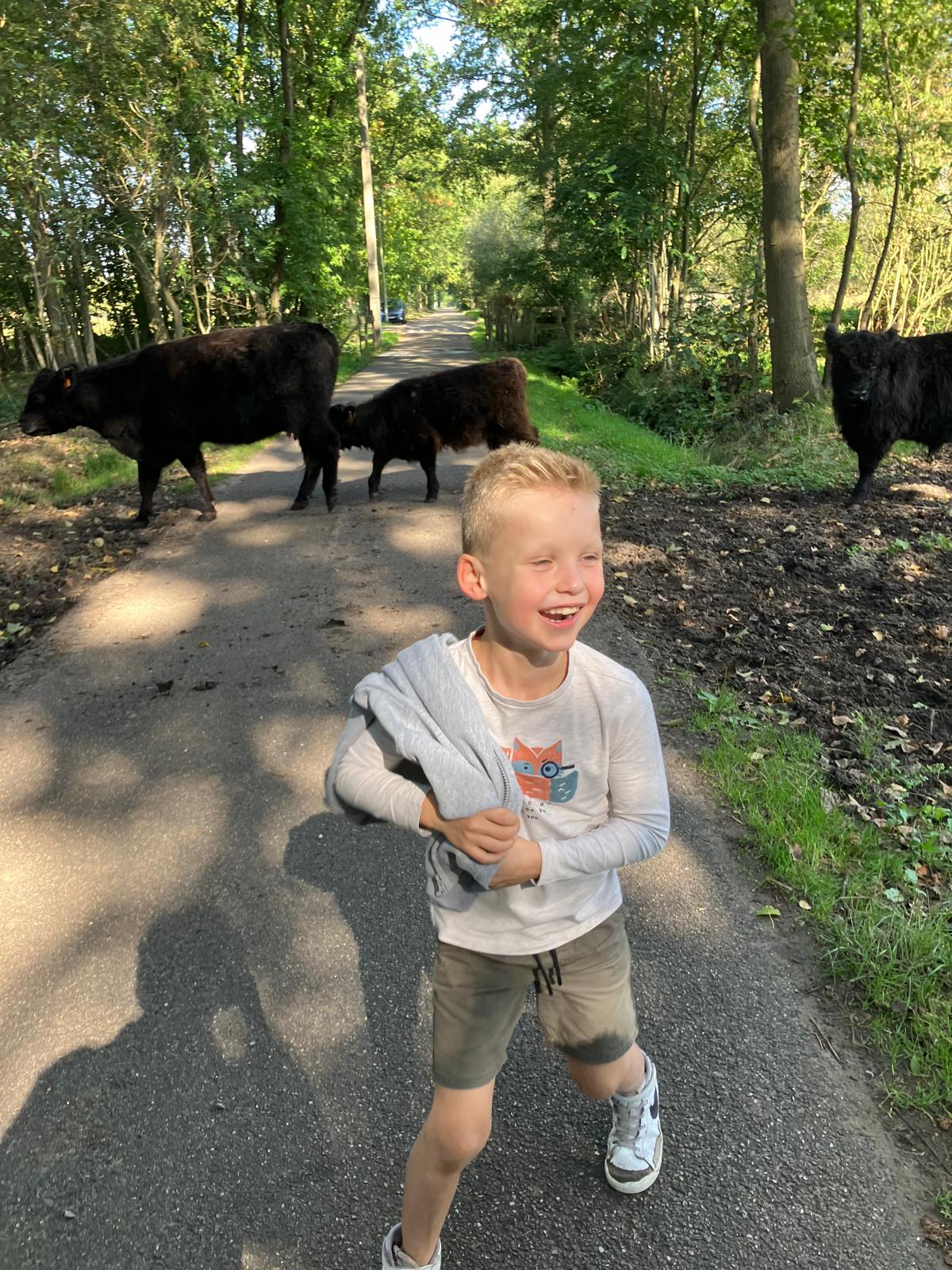 Sint-Martinus den XIIde - september-oktober