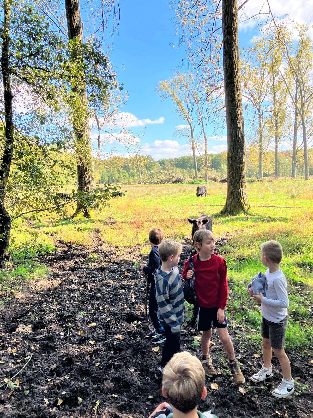 Sint-Martinus den XIIde - september-oktober