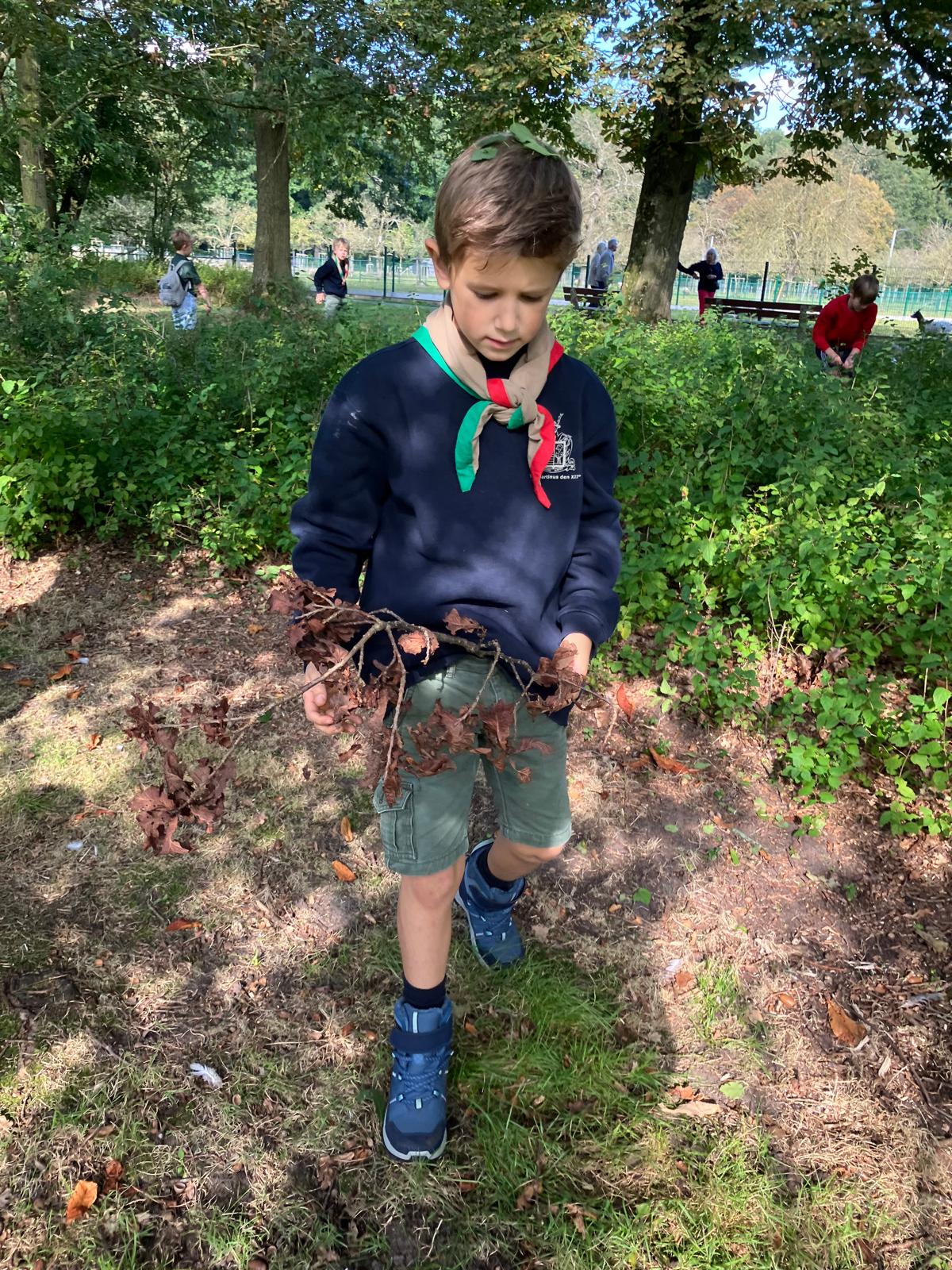 Sint-Martinus den XIIde - september-oktober