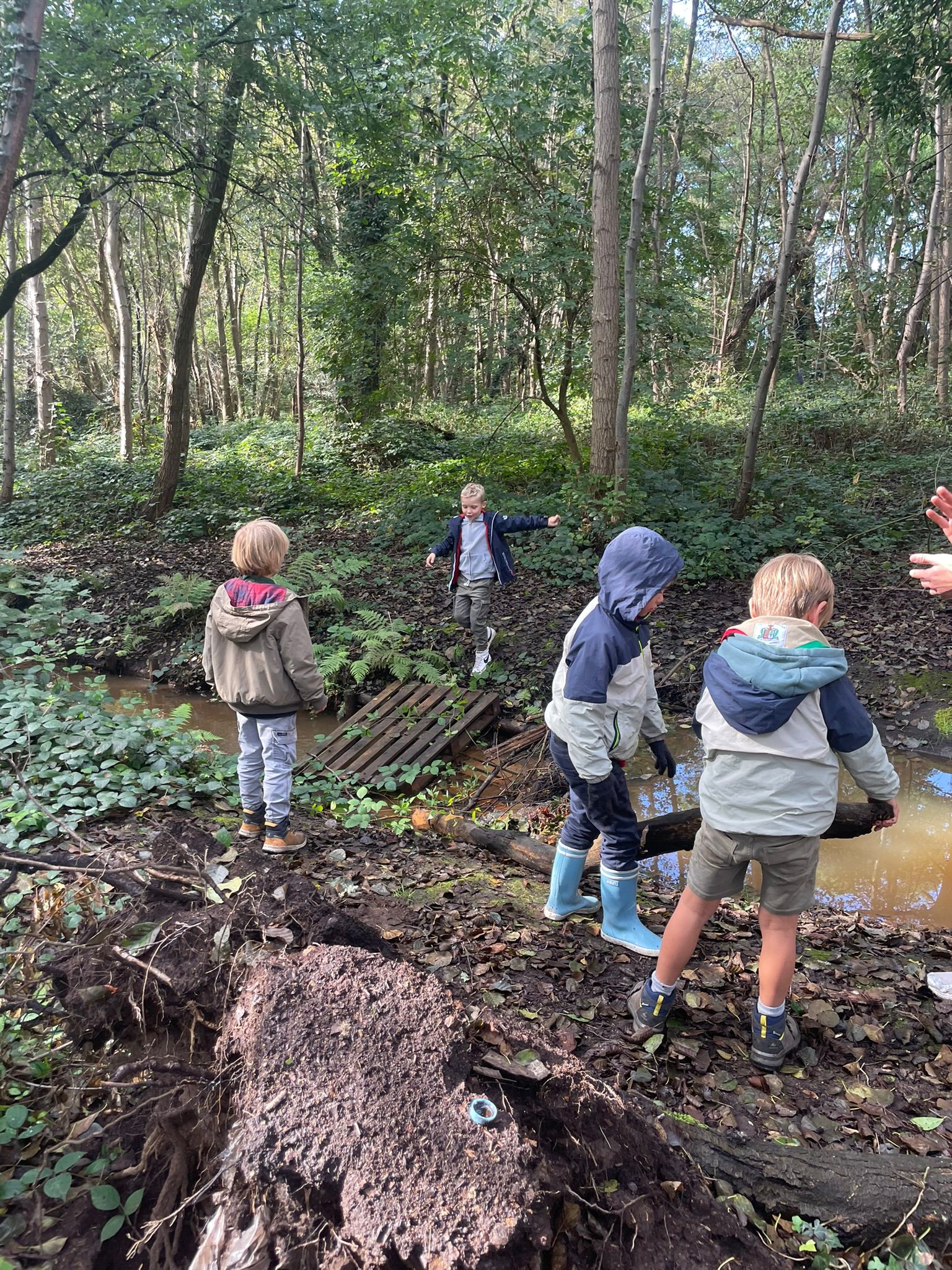 Sint-Martinus den XIIde - september-oktober