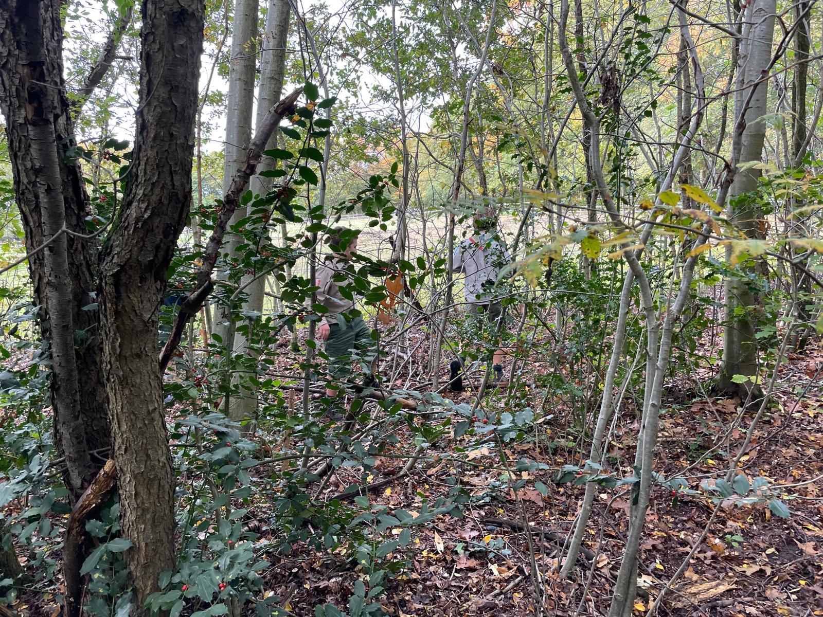 Sint-Martinus den XIIde - september-oktober