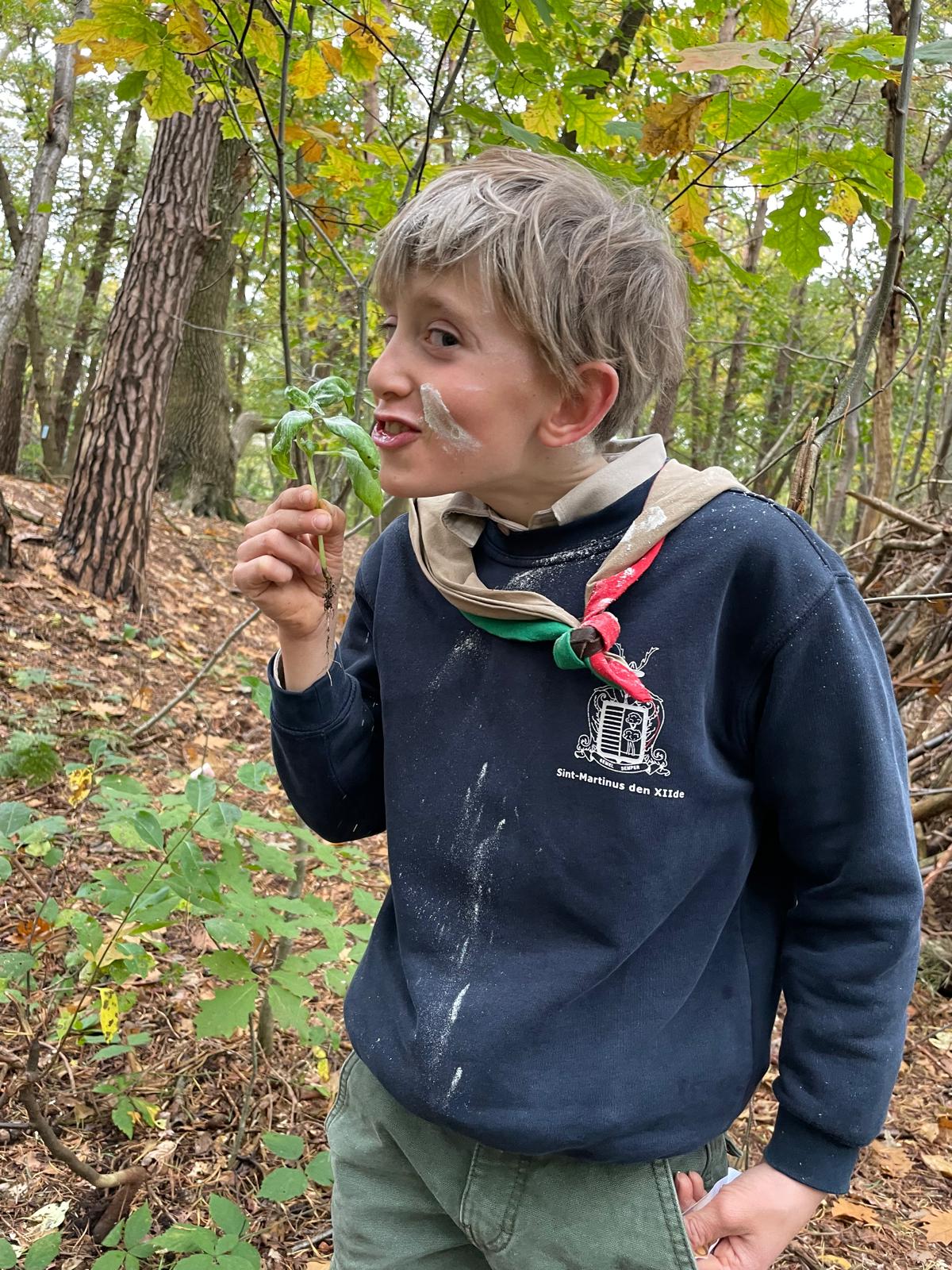 Sint-Martinus den XIIde - september-oktober