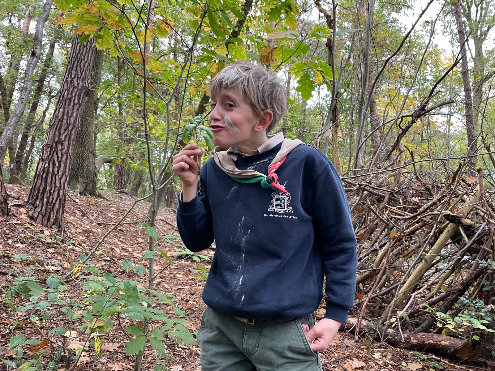 Sint-Martinus den XIIde - september-oktober