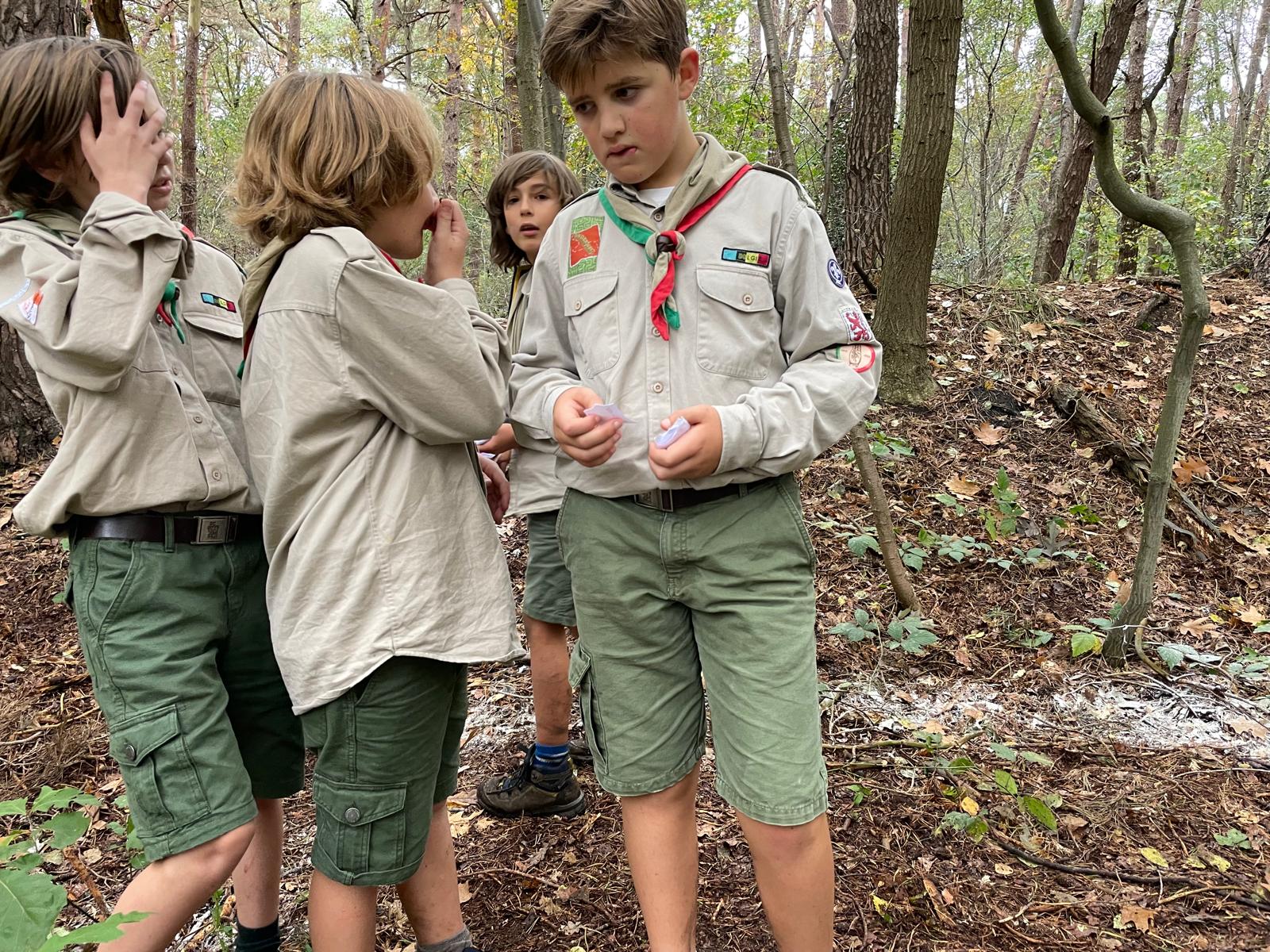 Sint-Martinus den XIIde - september-oktober