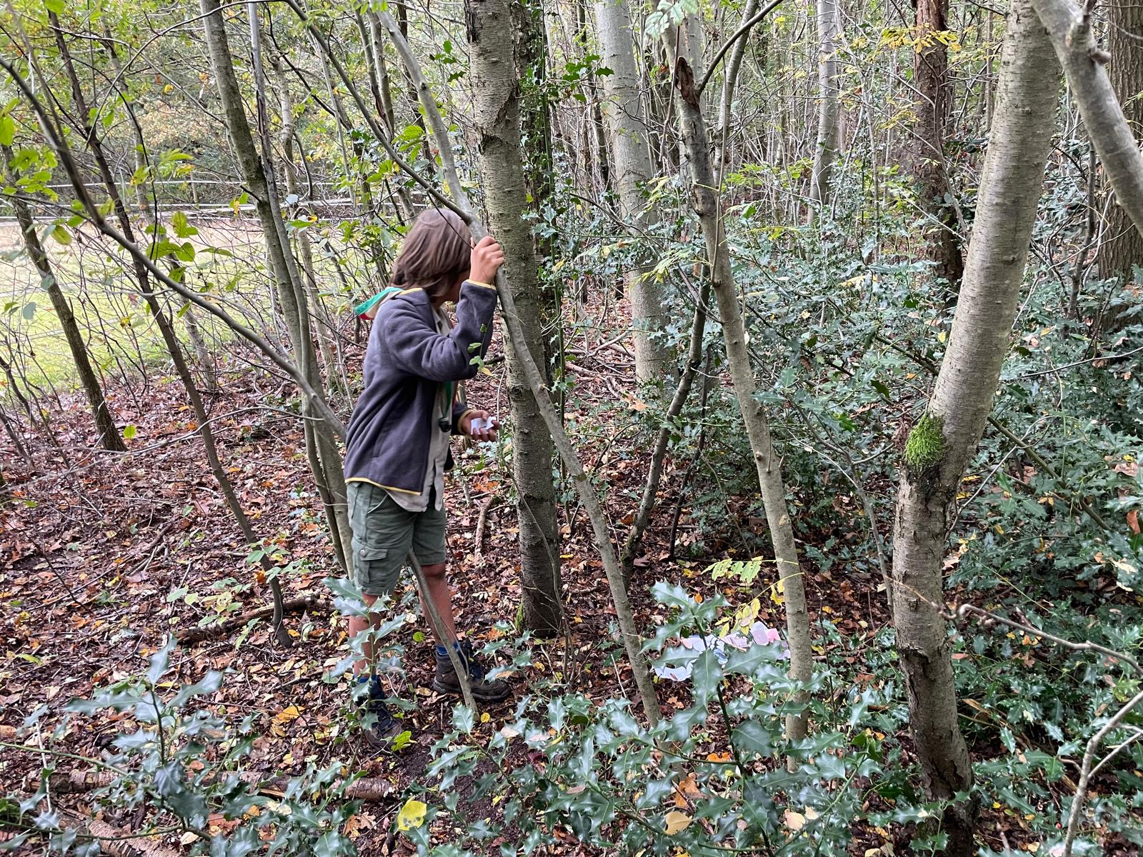 Sint-Martinus den XIIde - september-oktober